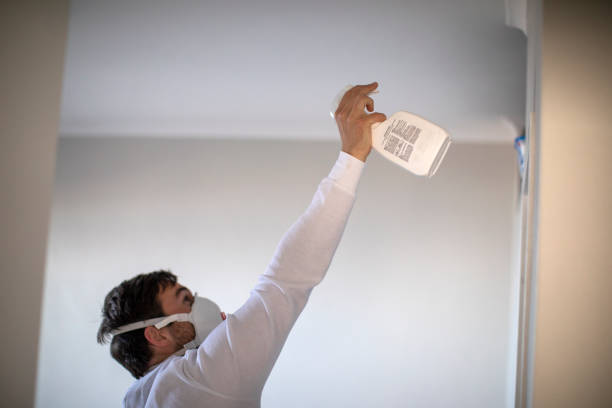 Best Emergency Mold Remediation in West Fork, AR