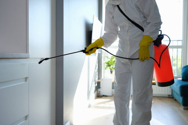 Best Commercial Mold Remediation in West Fork, AR